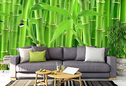 Fototapeta Bambusy 1162